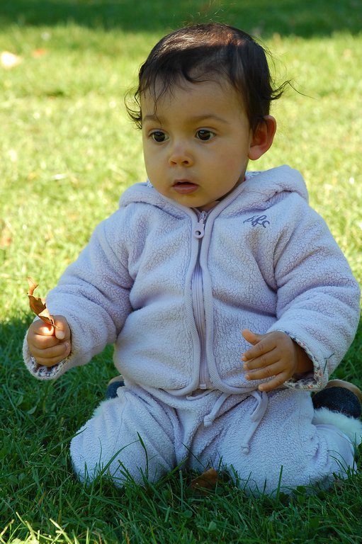 DSC_0236.JPG